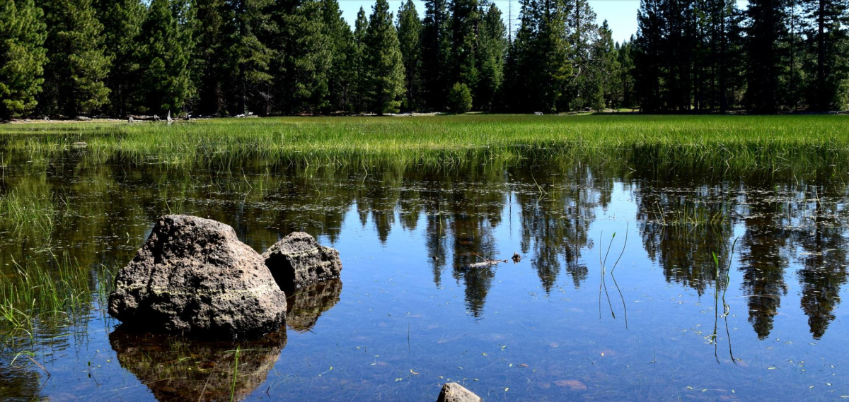 vernal-pools-preserve-california-s-natural-landscape-bureau-of-land